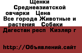 Щенки Среднеазиатской овчарки › Цена ­ 30 000 - Все города Животные и растения » Собаки   . Дагестан респ.,Кизляр г.